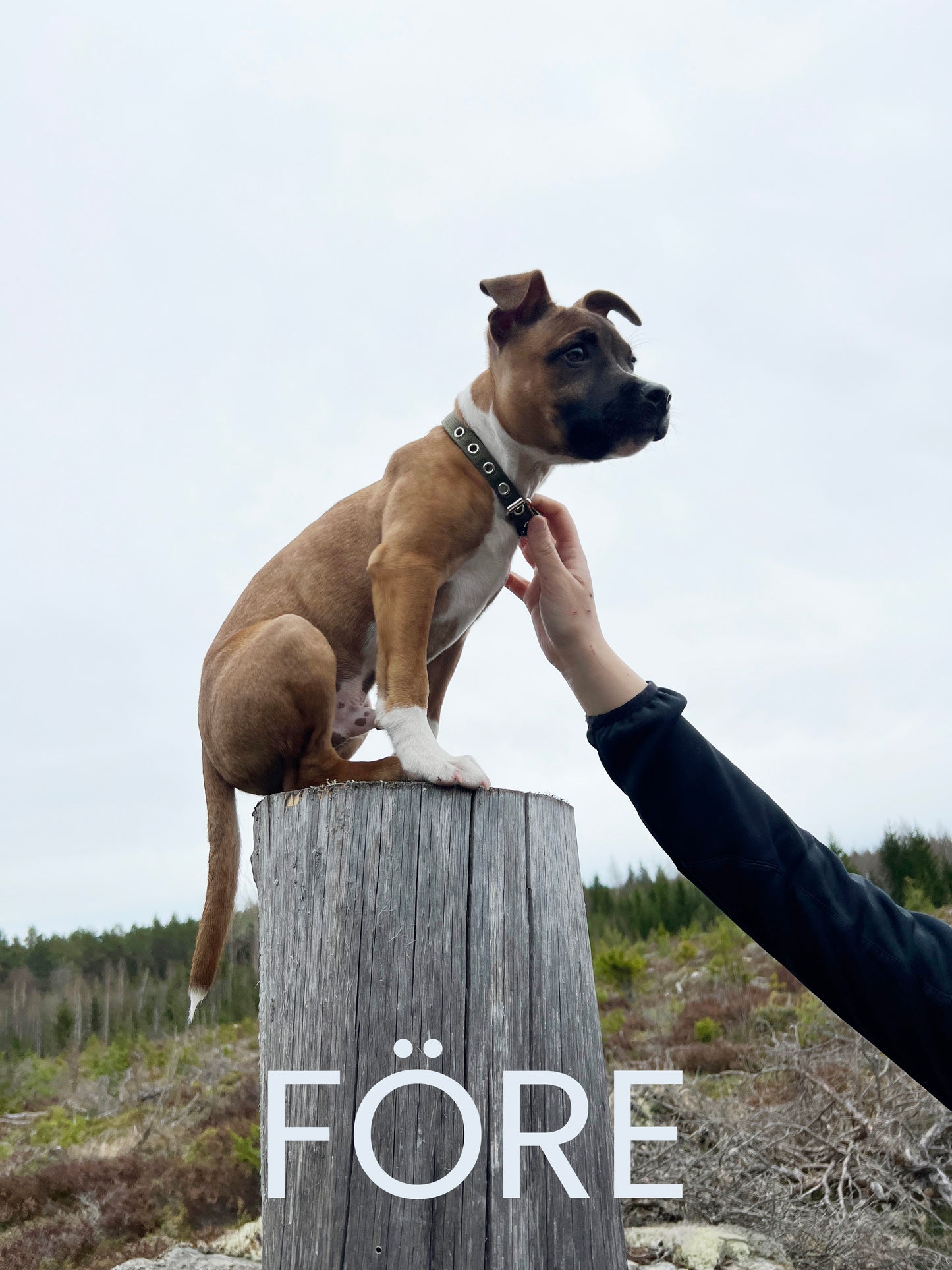Foto Korrigering