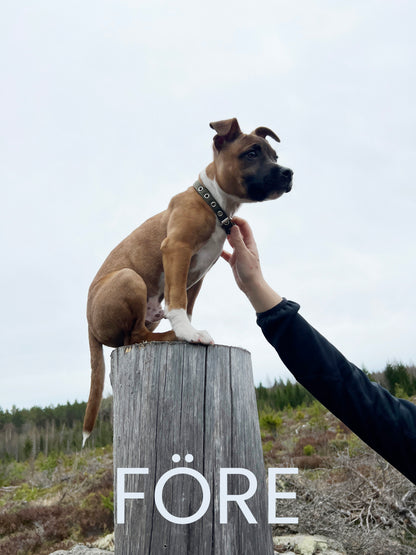 Foto Korrigering