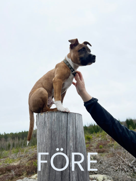 Foto Korrigering